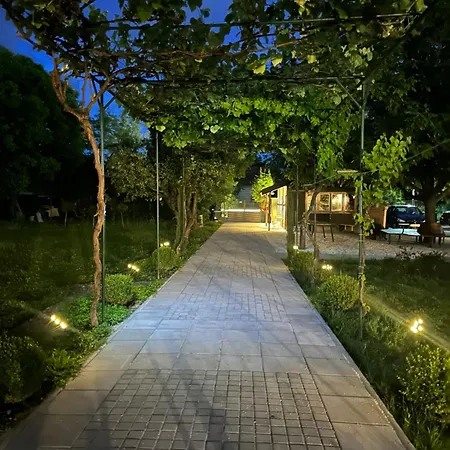 Apartman Number 6 *